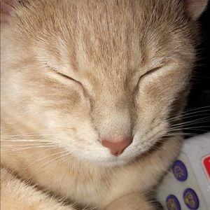 Meet your Posher, Tanya